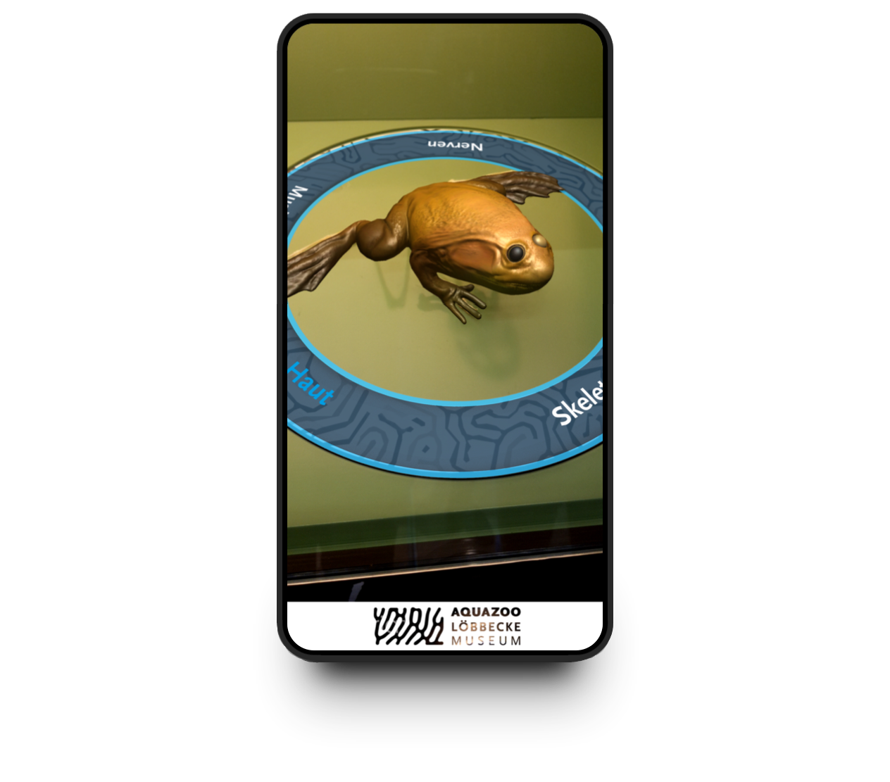 Phone showing the AR frog with the anatomy layer selector ring